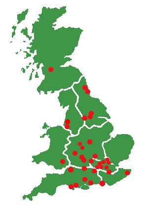 thai style teacher locations